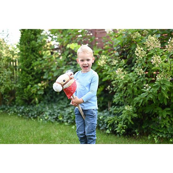 Achał Hobby Horse botló ló