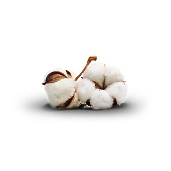 Ecotton takaró - 160x200 cm