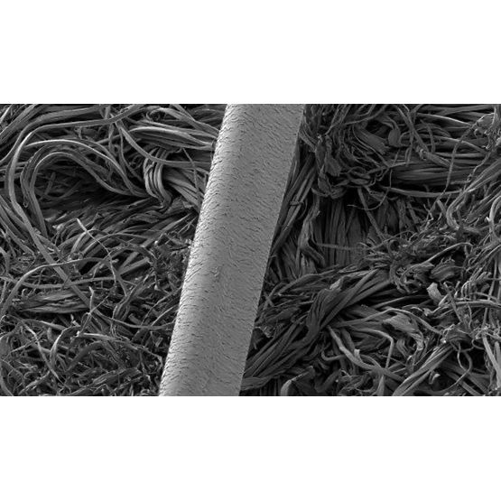 Paplan Evolution - 160x200 cm