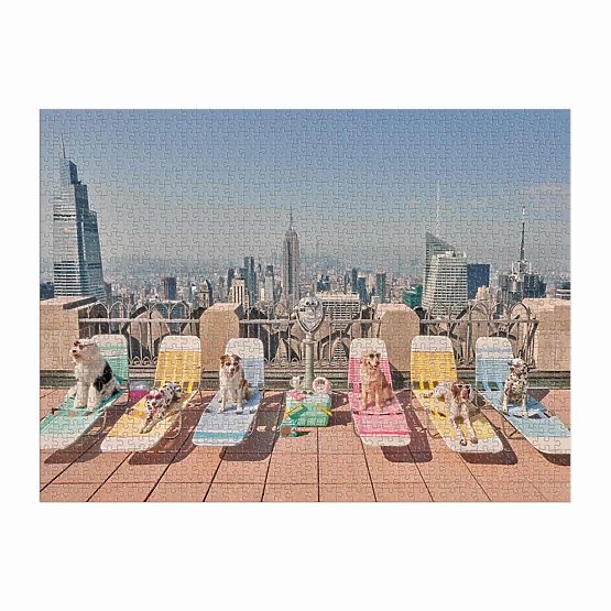 Galison Puzzle Kutyák New Yorkban Gray Malin 1000 darab