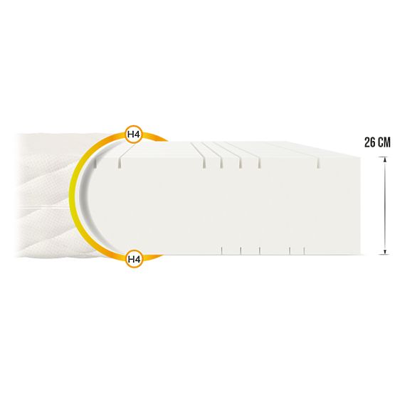 Goya Max Plus habmatrac 180 x 200 cm