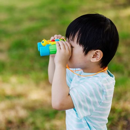 Kék-zöld távcső - pillangó