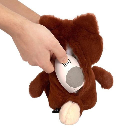 Narancssárga róka szívveréssel FLOW