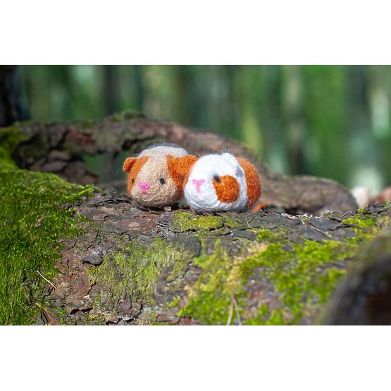 Nemezelőkészlet - Tengerimalac