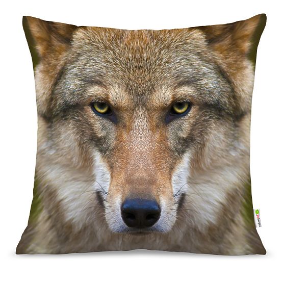 Párna FARKAS 01