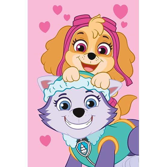 Paw Patrol polár takaró - Skye és Everest