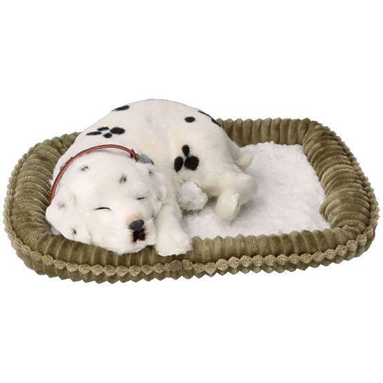 Perfect Petzzz Fogadjon örökbe egy lélegző dalmatát