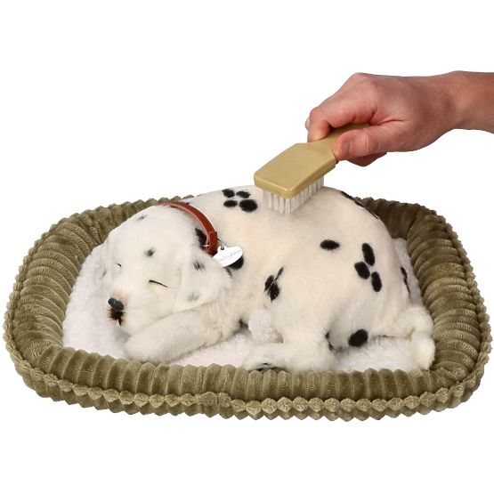 Perfect Petzzz Fogadjon örökbe egy lélegző dalmatát