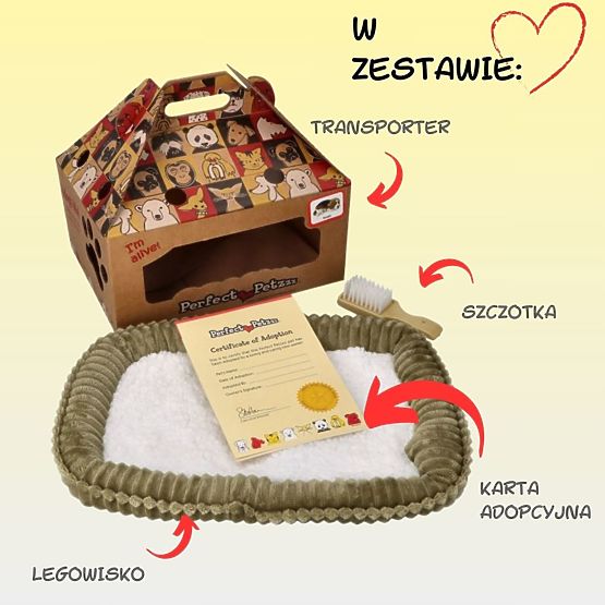 Perfect Petzzz Fogadjon örökbe egy lélegző dalmatát