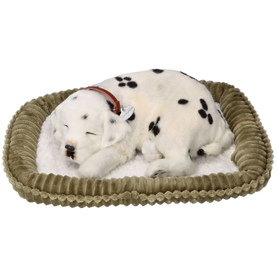 Perfect Petzzz Fogadjon örökbe egy lélegző dalmatát