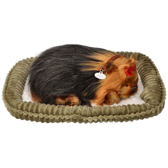 Perfect Petzzz Horkoló Yorki Kölyökkutya