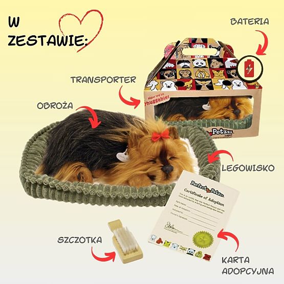 Perfect Petzzz Horkoló Yorki Kölyökkutya