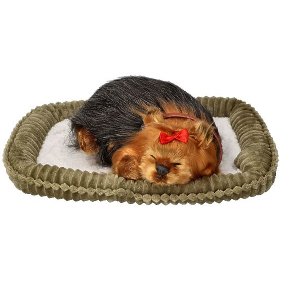 Perfect Petzzz Horkoló Yorki Kölyökkutya