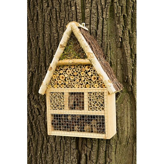 Rovarház - szálloda XXL