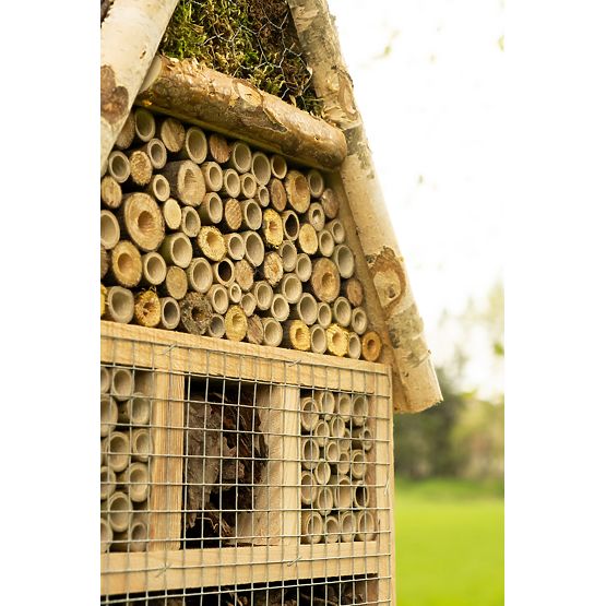 Rovarház - szálloda XXL