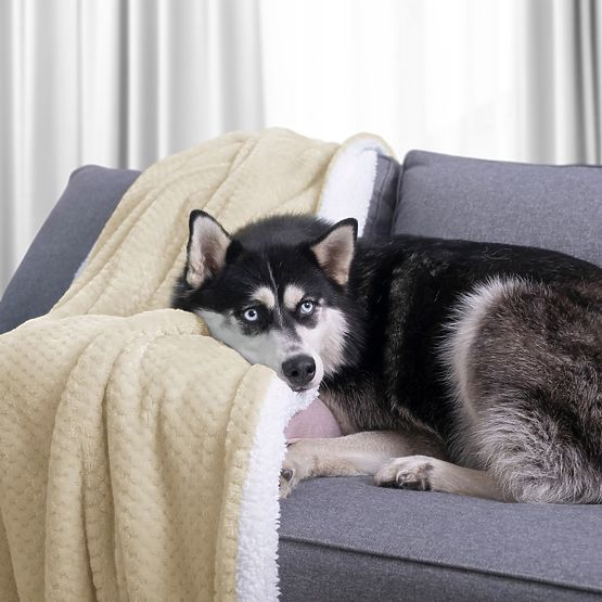 SHLEEPY takaró bézs színű, jacquard mintával, klasszikus stílus 220x240