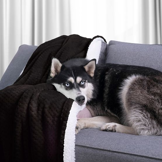 SHLEEPY takaró fekete, jacquard mintával, klasszikus stílusú 130x180