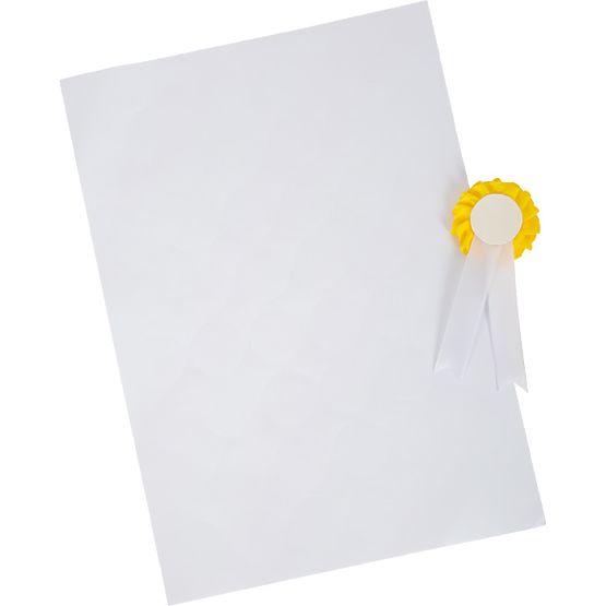 small foot Lóápoló készlet táskával