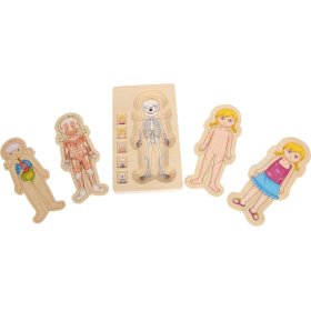 Kisláb Fa anatómiai puzzle, Small foot by Legler