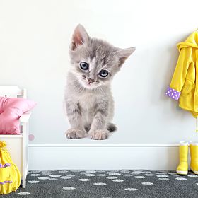Kattintson a nagyításhoz