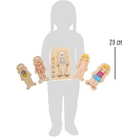 Kisláb Fa anatómiai puzzle, small foot