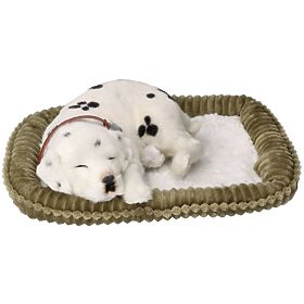 Perfect Petzzz Fogadjon örökbe egy lélegző dalmatát