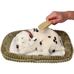Perfect Petzzz Fogadjon örökbe egy lélegző dalmatát