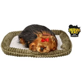 Perfect Petzzz Horkoló Yorki Kölyökkutya